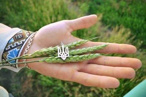 �������� ����������