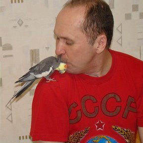 ���� ������� ��������